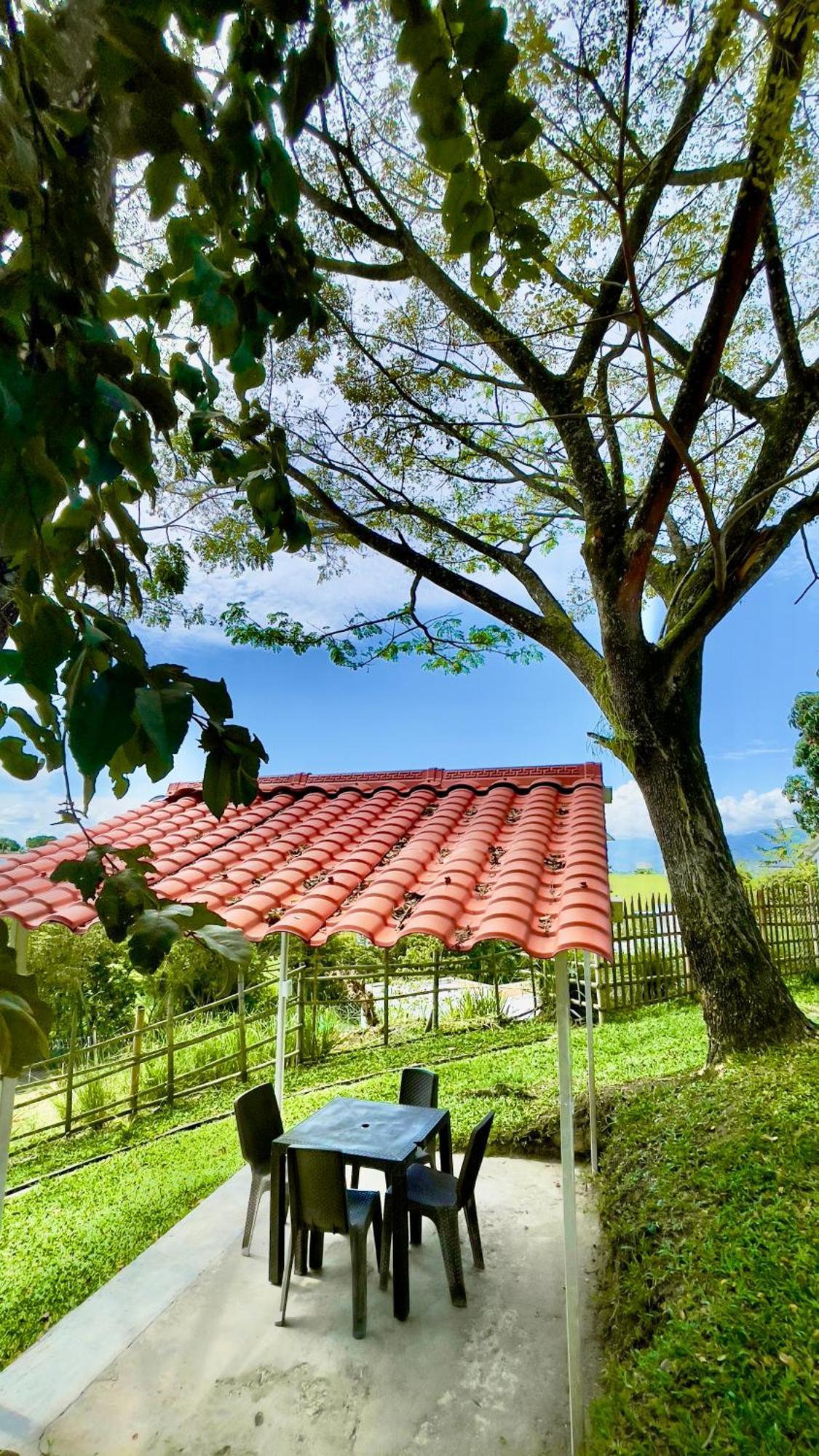 Hotel Loto Del Viento Cartago Buitenkant foto